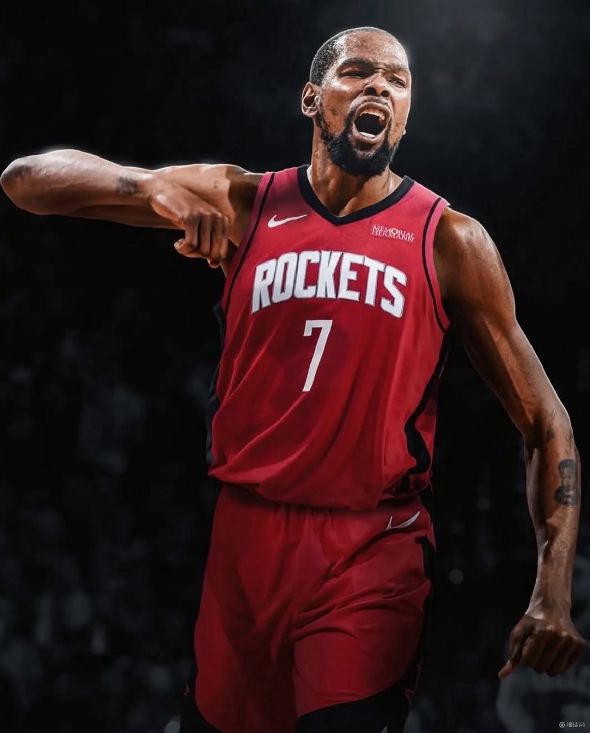 阵维罗纳的 阵维罗纳的